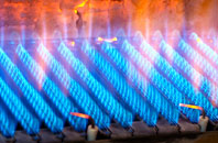 Pollosgan gas fired boilers